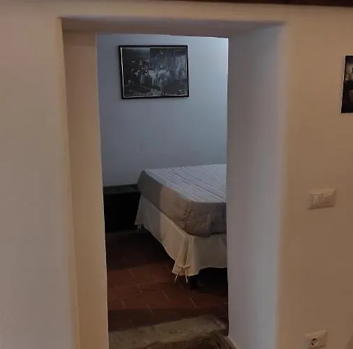 Zaccheo 9 * 皮蒂利亚诺